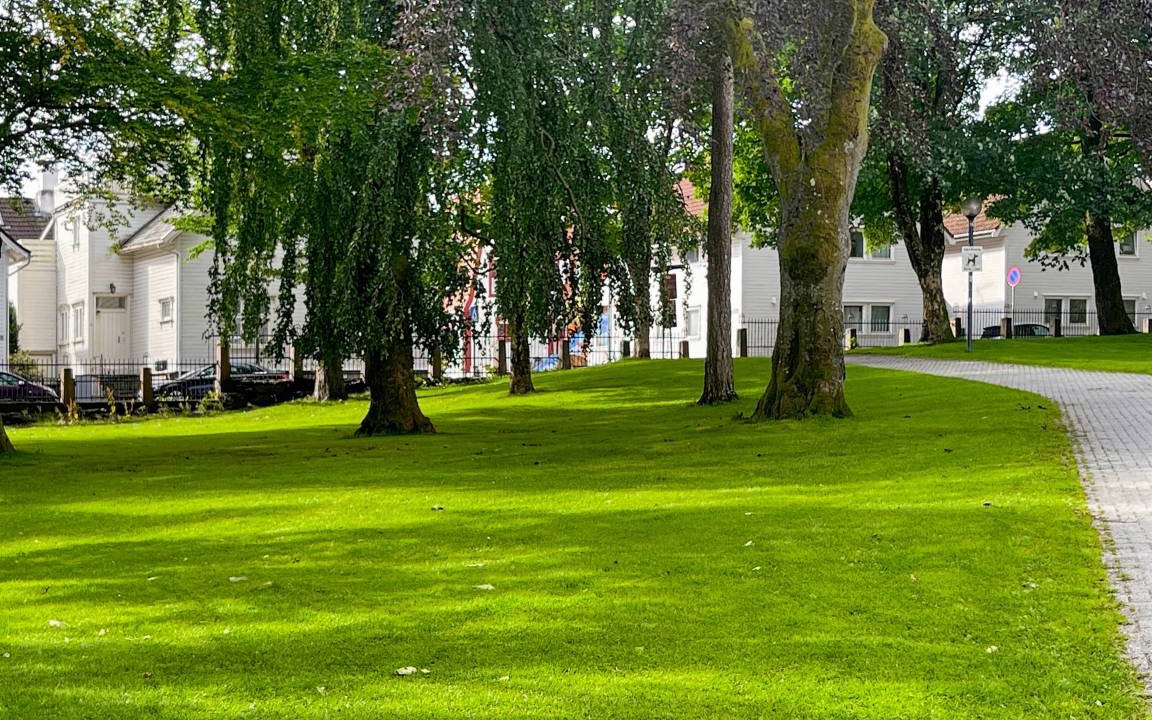 Photo of Others in Stavanger