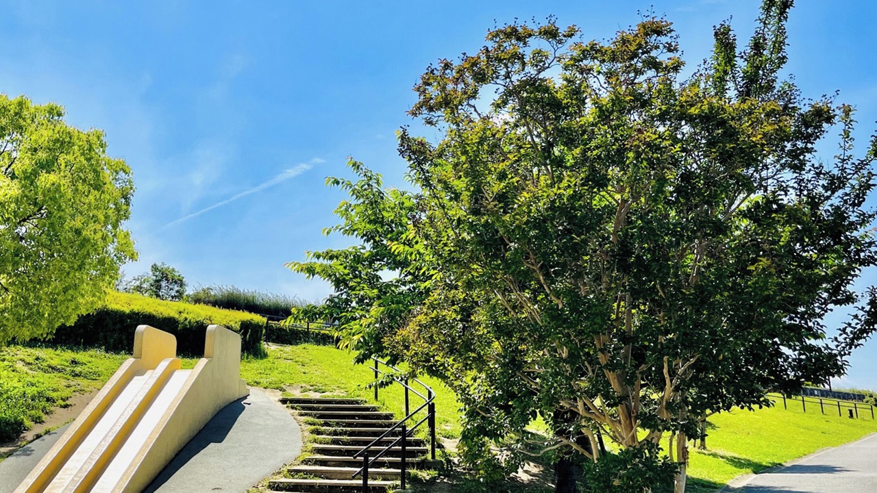 Photo of Others in Toyonaka