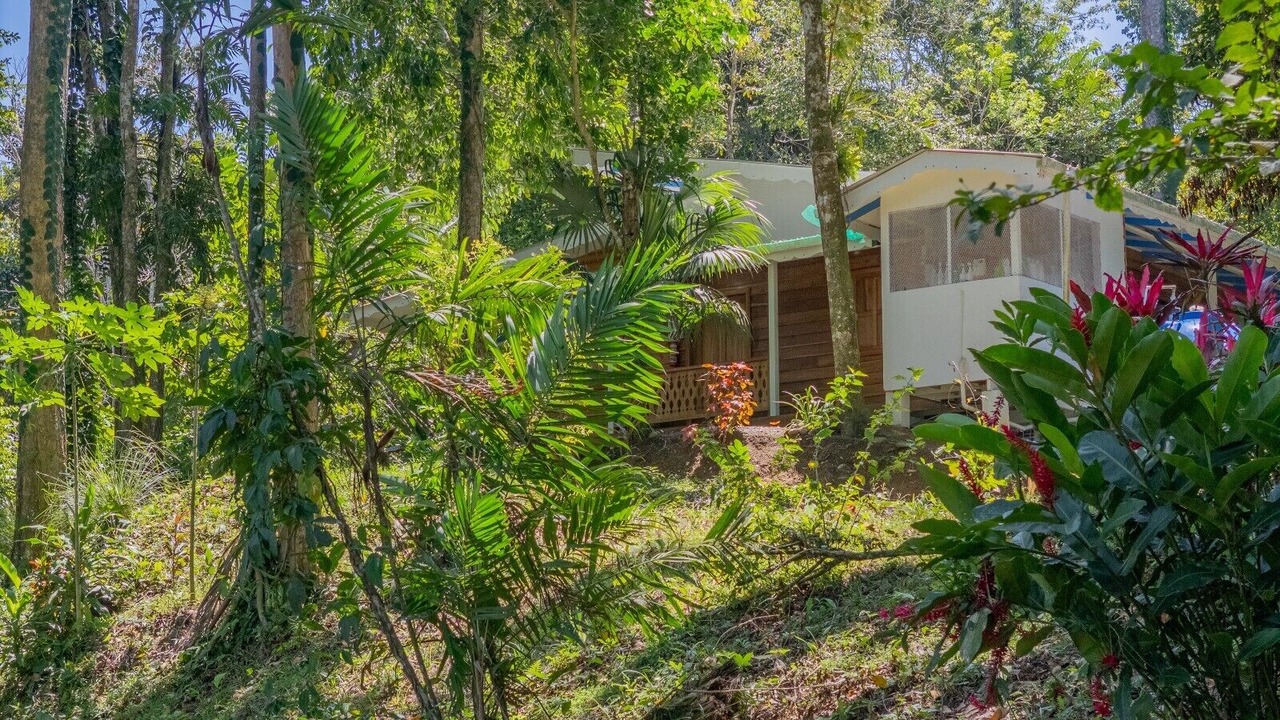 Photo of Outdoor in Cocles