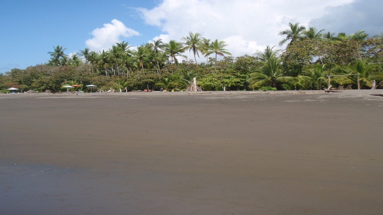 Photo of Others in Savegre