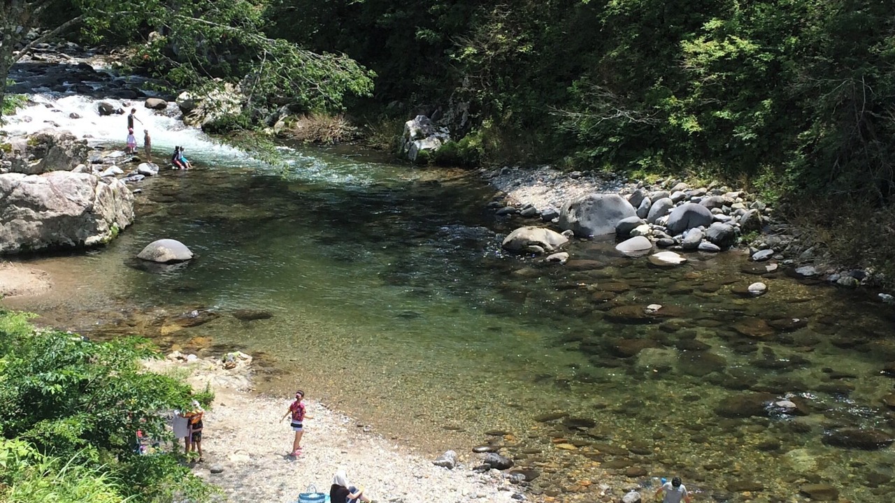 Photo of Others in Hakusan National Park