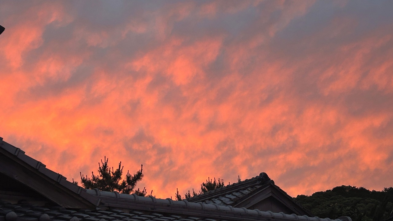 Photo of Outdoor in Minami