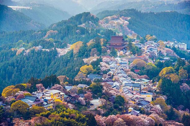 Photo of Others in Gojo