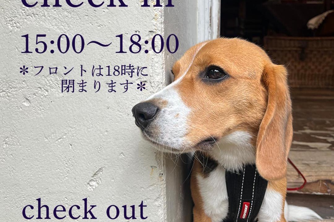 Photo of Others in Kamakura