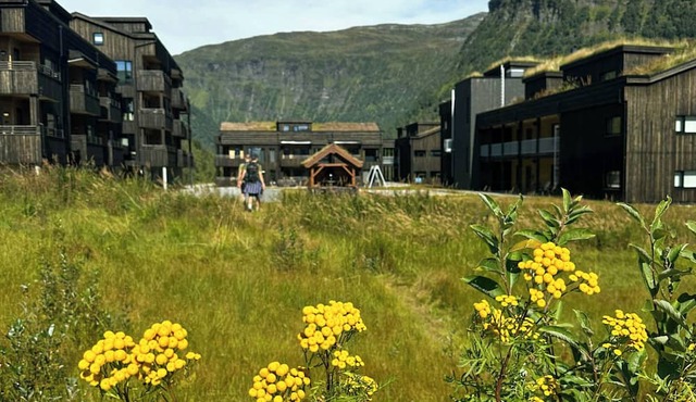 Mountain apartment with views in Myrkdalen