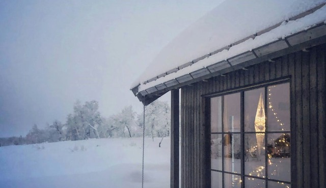 Mountain cabin by the trails in Beitostølen